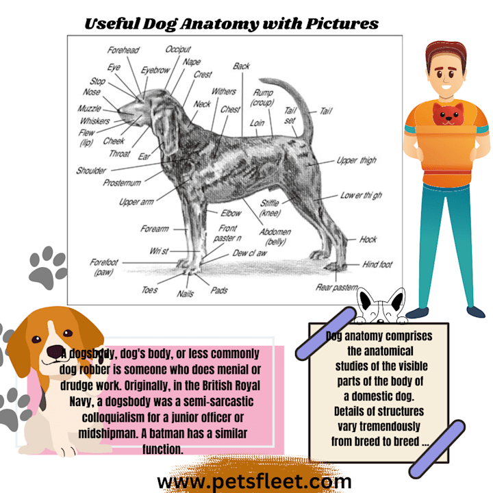 Cover image for infographics design