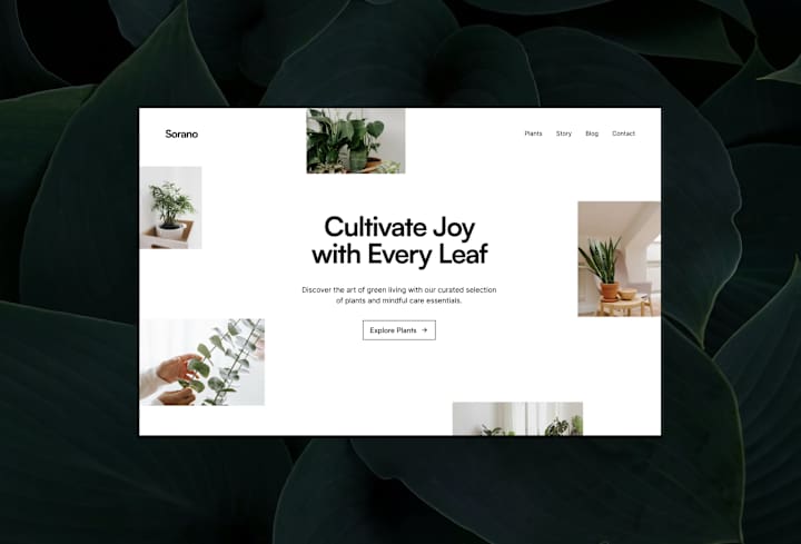 Cover image for Sorano - E-Commerce Framer Website
