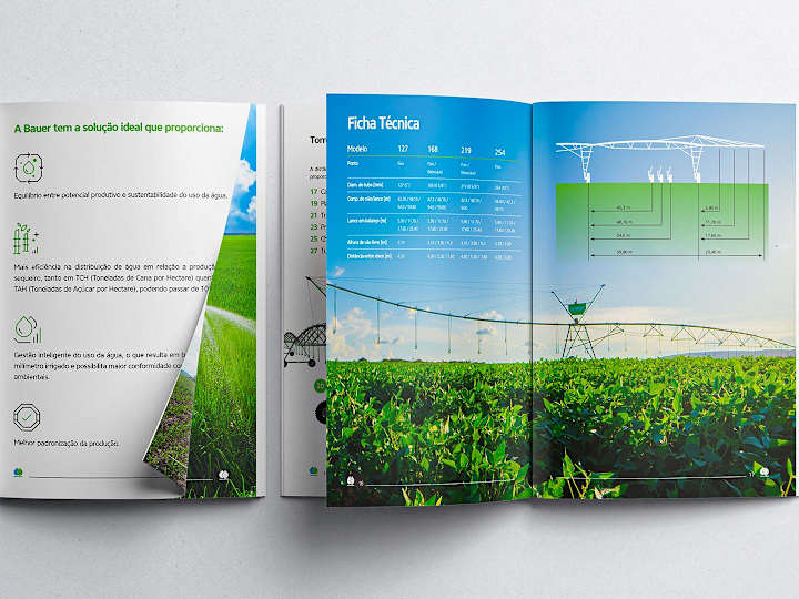 Cover image for Professional Brochure Design