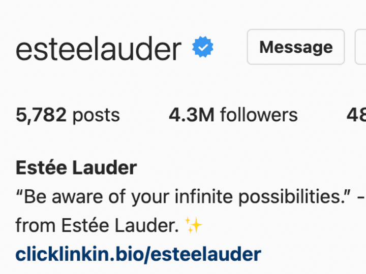 Cover image for Estee Lauder Instagram