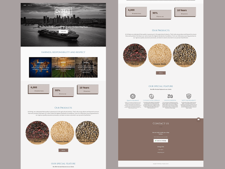 Cover image for Website Design Solutions