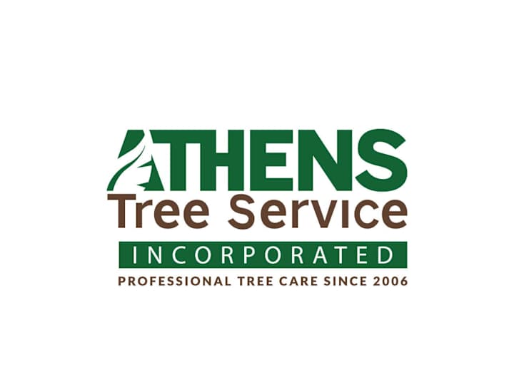 Cover image for Athens Tree
