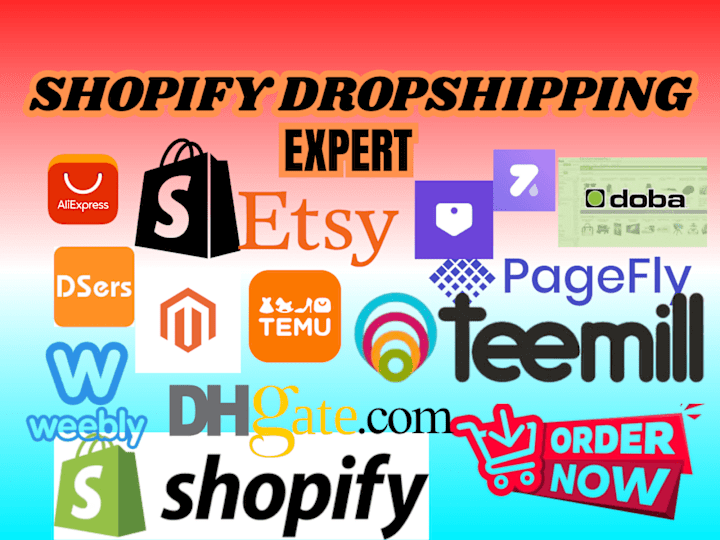 Cover image for build find shopify dropshipping website winning product store