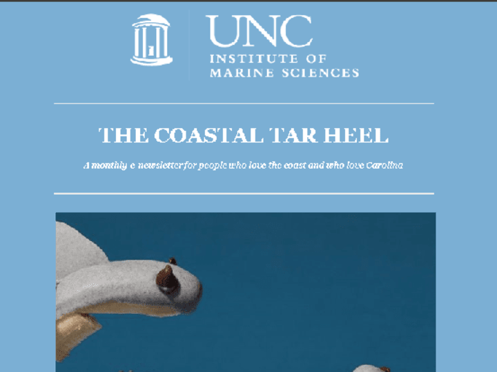 Cover image for The Coastal Tar Heel -- Issue: October 2021