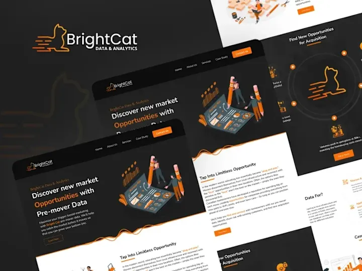 Cover image for IT Consultant - Brightcat