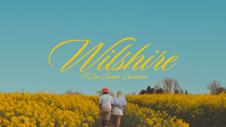 Cover image for Wilshire - Tyler, The Creator (Music Video)