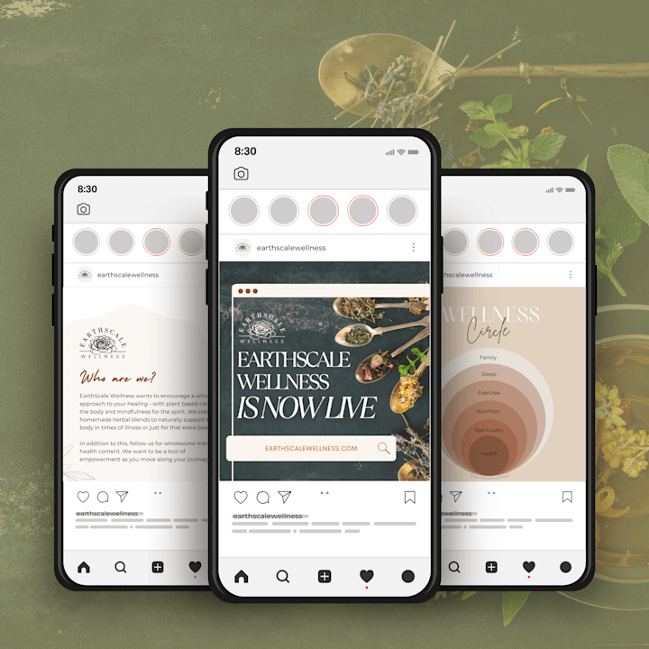 Cover image for EarthScale Wellness | Brand Revitalization 