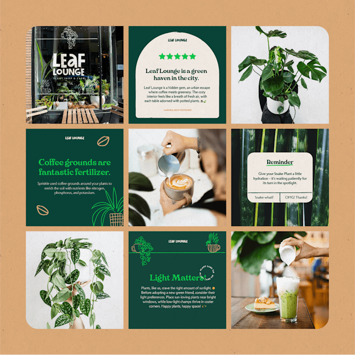 Cover image for Leaf Lounge