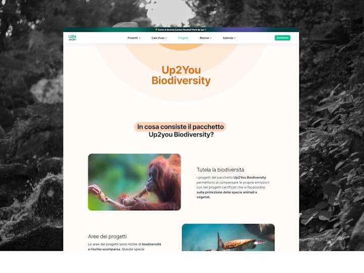 Cover image for Up2You | Web Design & Webflow Development