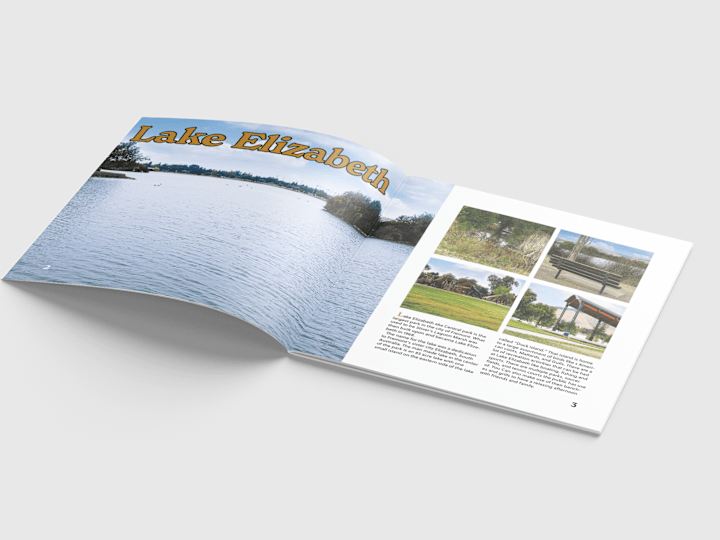 Cover image for Custom Print Layouts