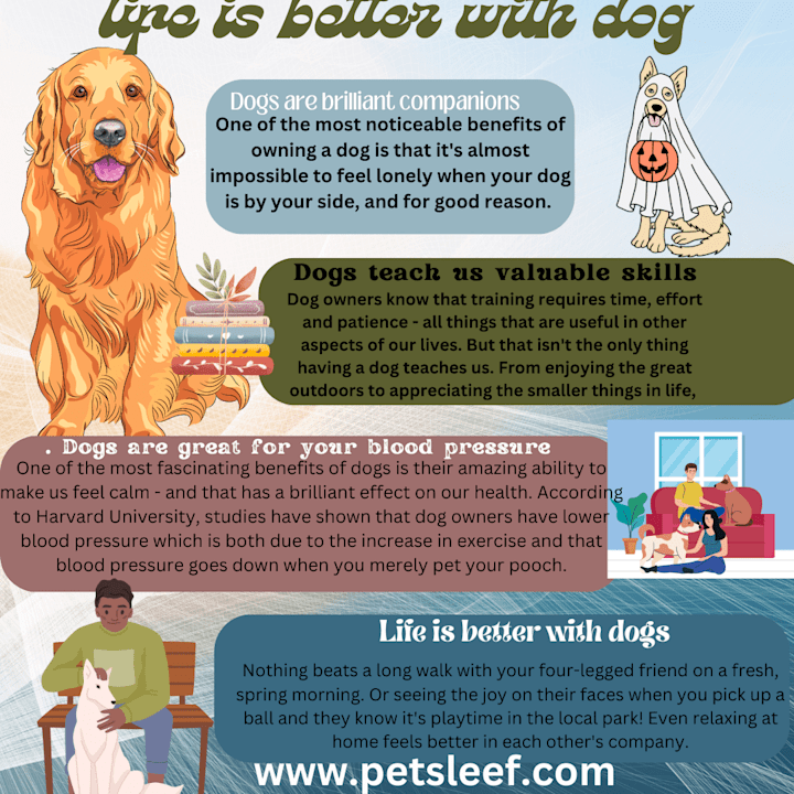 Cover image for professional infographics