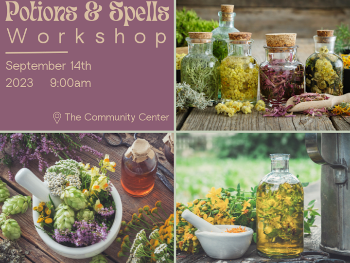 Cover image for Potions & Spells