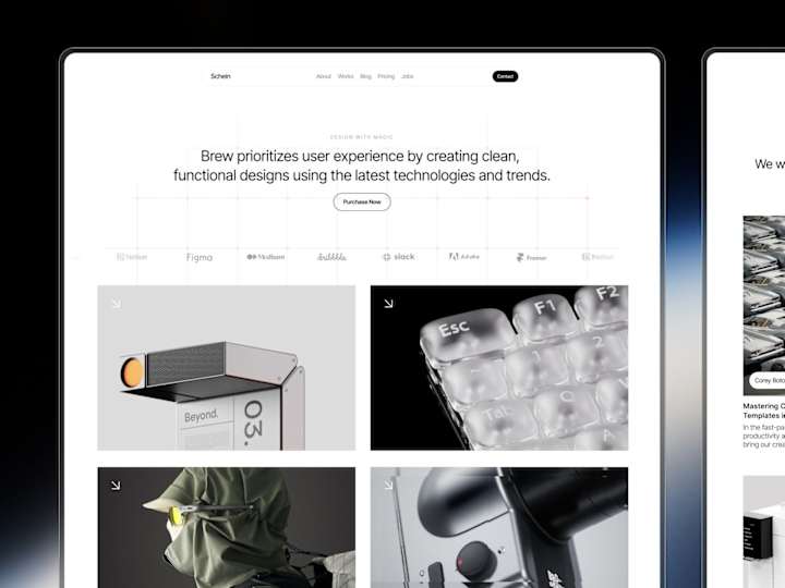 Cover image for Schein - Universal Portfolio Template