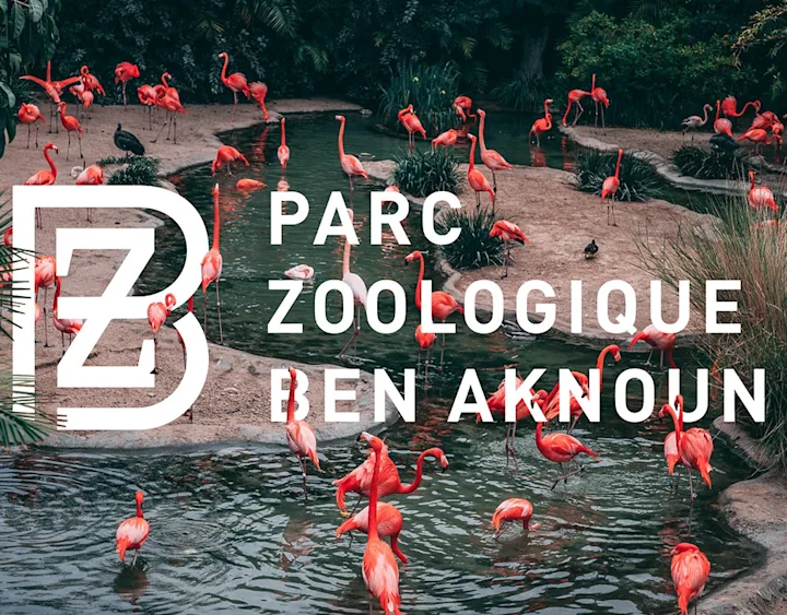 Cover image for Zoo Branding and Signage