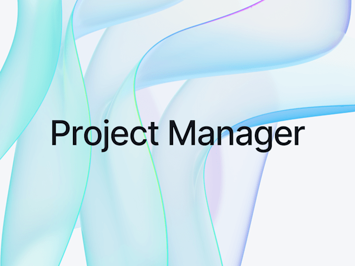 Cover image for Project Manager