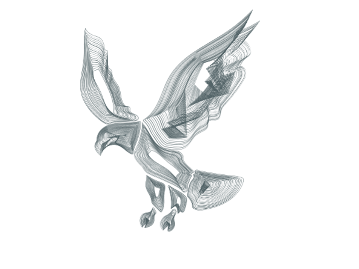 Cover image for Eagle Illustration!
