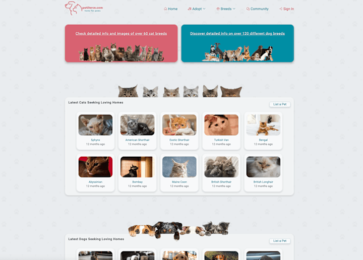 Cover image for patilerce.com - A Pet Adoption Website