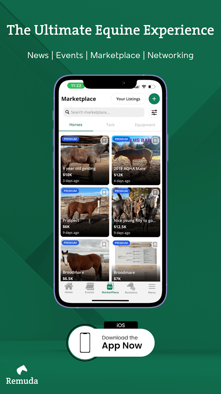 Cover image for Social Media Management for Equine Industry App 