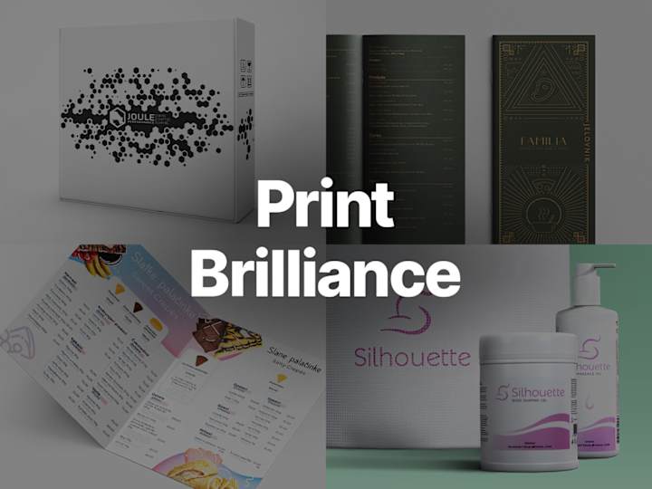 Cover image for Print Brilliance