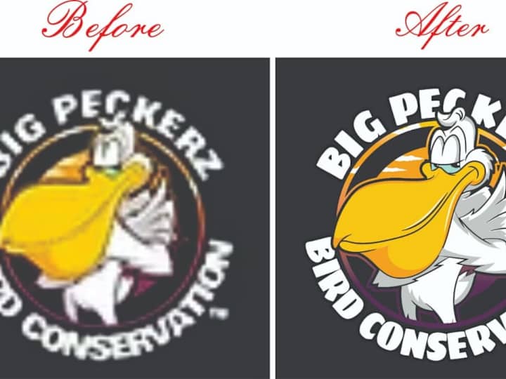 Cover image for  convert low resolution image into high definition vector art