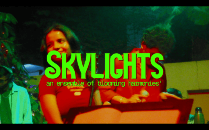 Cover image for showreel for skylights