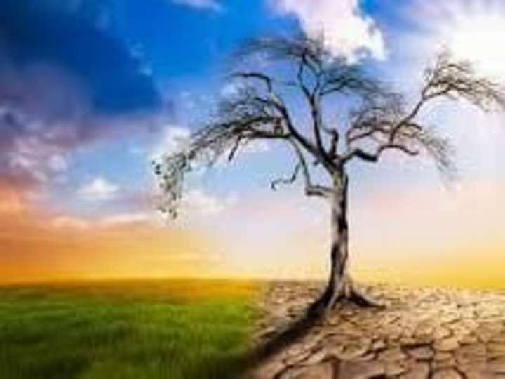 Cover image for The butterfly effect of deforestation causing climate change