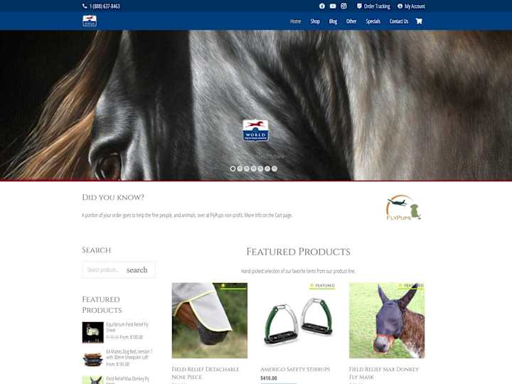 Cover image for World Equestrian Brands WordPress + WooCommerce Website