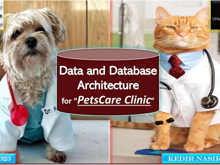 Cover image for Data and Database Architecture for Petscare Clinic