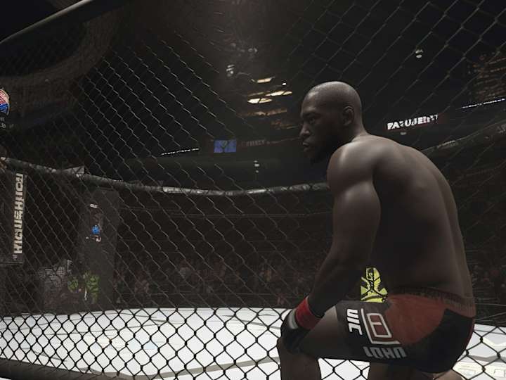 Cover image for MMA Hive | Writing Content for Mixed Martial Platform