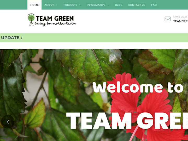 Cover image for WordPress Website - Team Green