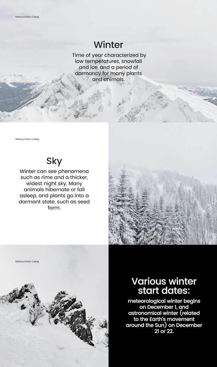 Cover image for White and Black Simple Lined White UI Blank Prototypes Website