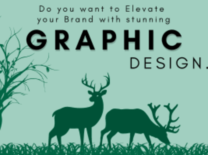 Cover image for GRAPHIC DESIGN