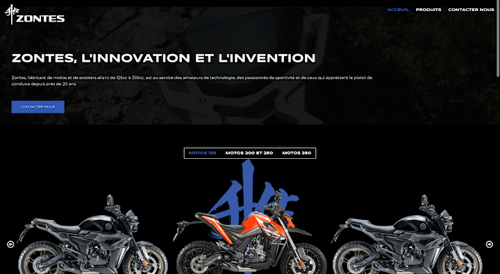 Cover image for zontesmaroc.com