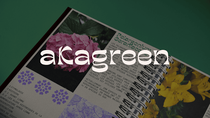 Cover image for Visual Identity System - aKagreen