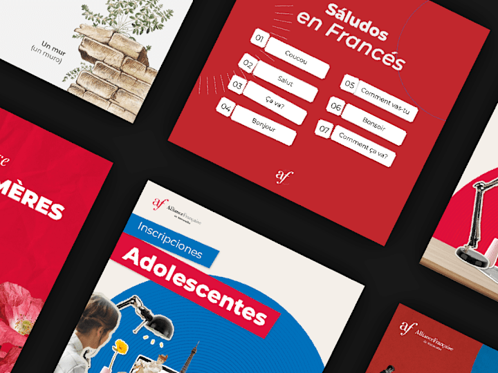 Cover image for Social Media Design for Alliance Francaise 