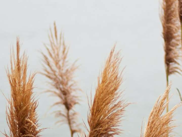 Cover image for Does your job align with your values?