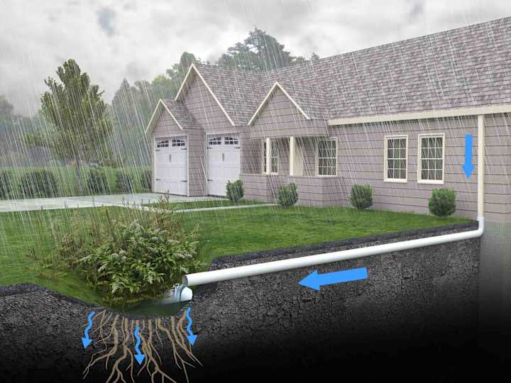 Cover image for A Homeowner’s Guide To Rain Gardens