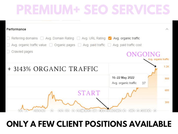 Cover image for 3143% Increase of Organic Traffic for eCommerce Brand