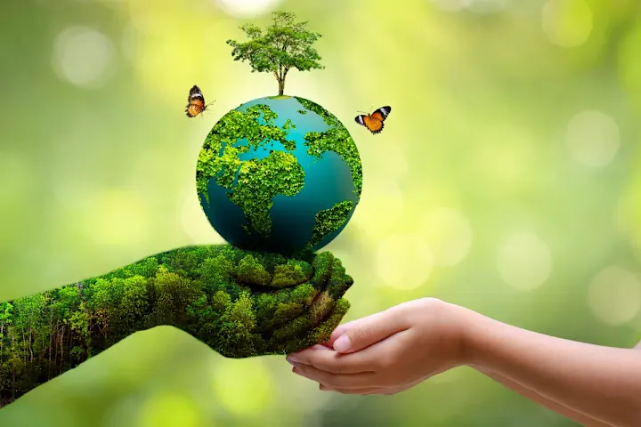 Cover image for Together for the Planet: Making a Difference on World Environme…
