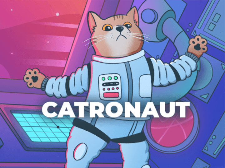 Cover image for The Catronaut