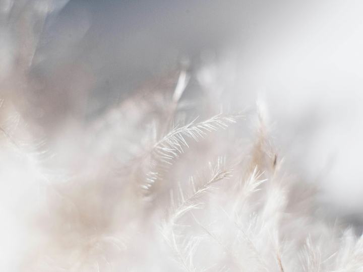 Cover image for Personal Blog