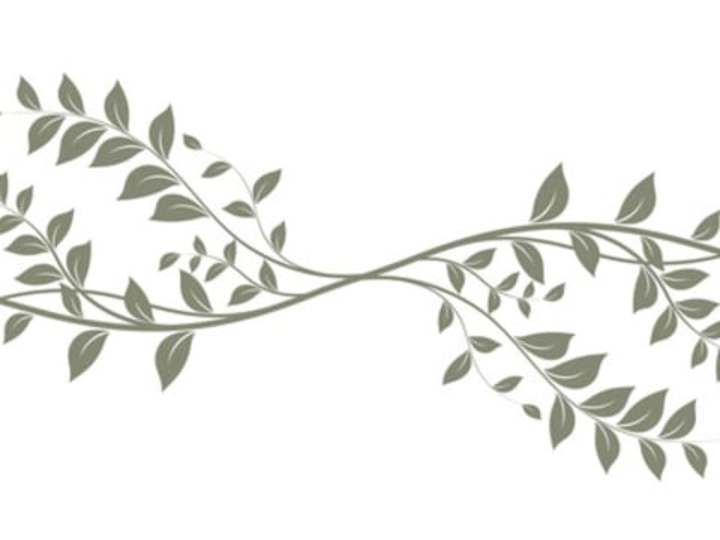 Cover image for Blank project