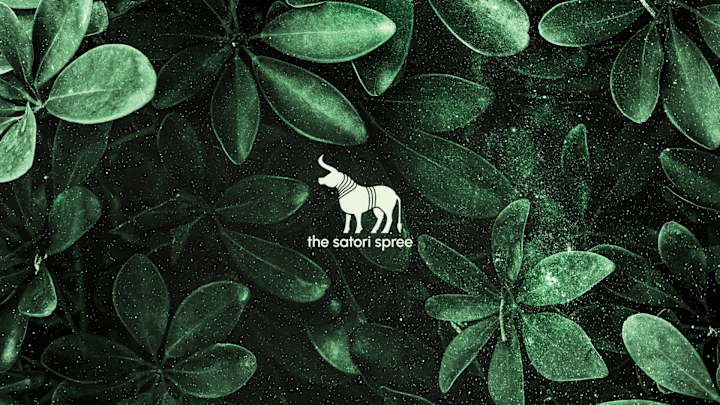 Cover image for Satori Spree | Laptop Bag | Logo & Brand Identity