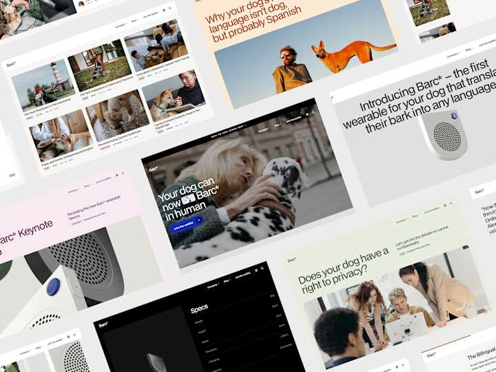 Cover image for Multipage Website in Framer