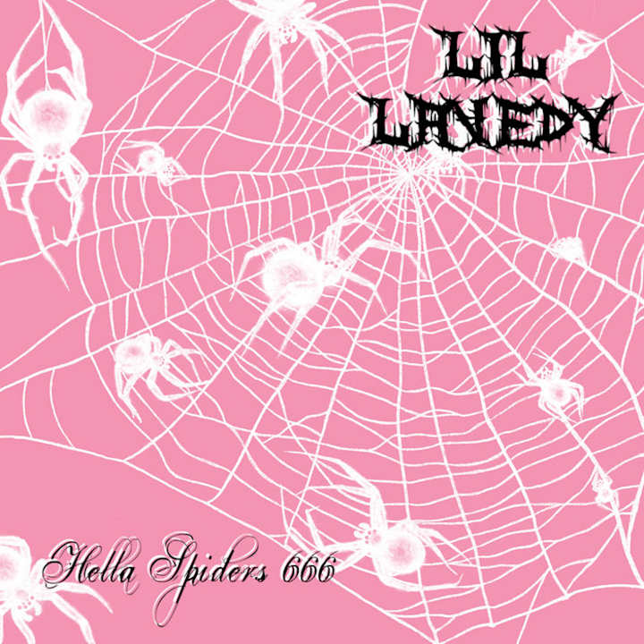 Cover image for Hella Spiders 666, by Lil Lavedy