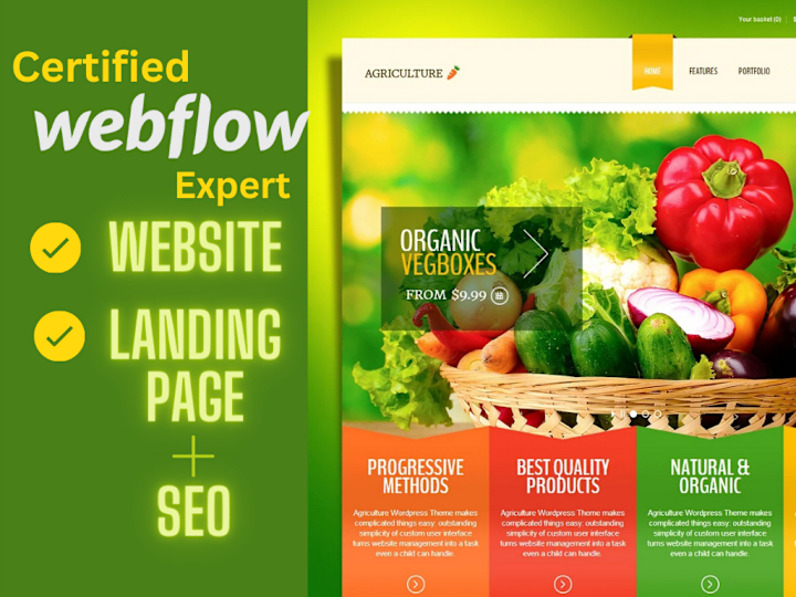 Cover image for Webflow Website with Animation and SEO Optimization