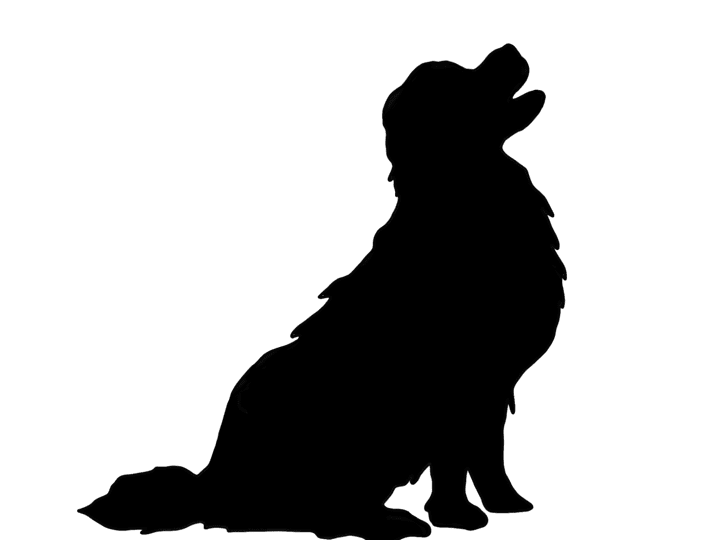 Cover image for Agrarian Era, Village Dogs + Domestication - Wise Woofs Article