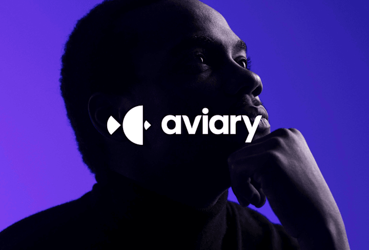 Cover image for Aviary Analytics - Branding