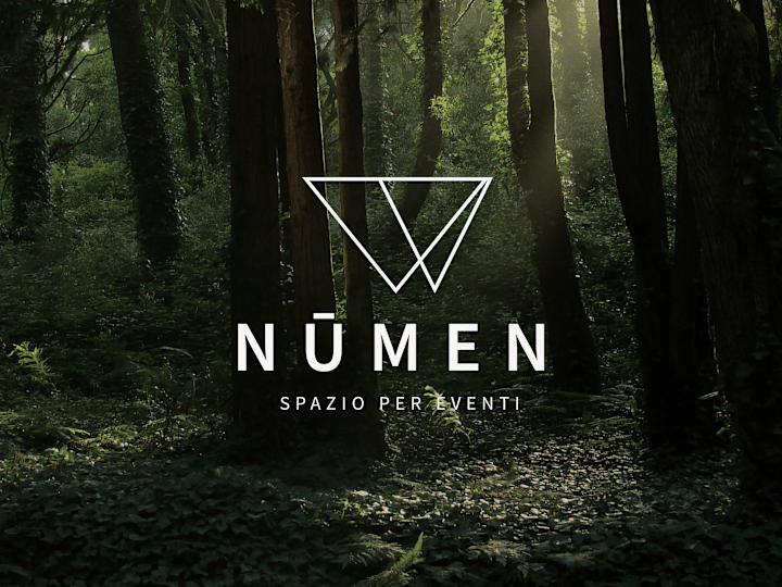 Cover image for Numen