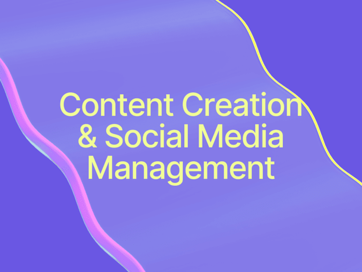 Cover image for Instagram Management & Content Creation